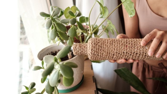 ei blog thumbnailpost image
