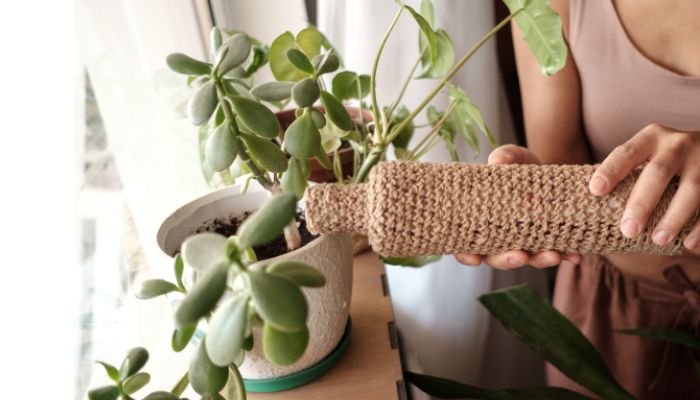 Top 10 Ways to Make Your Home More Sustainable