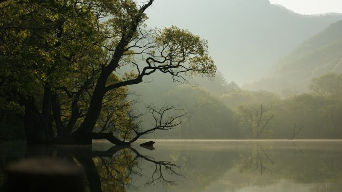 ei blog thumbnailpost image